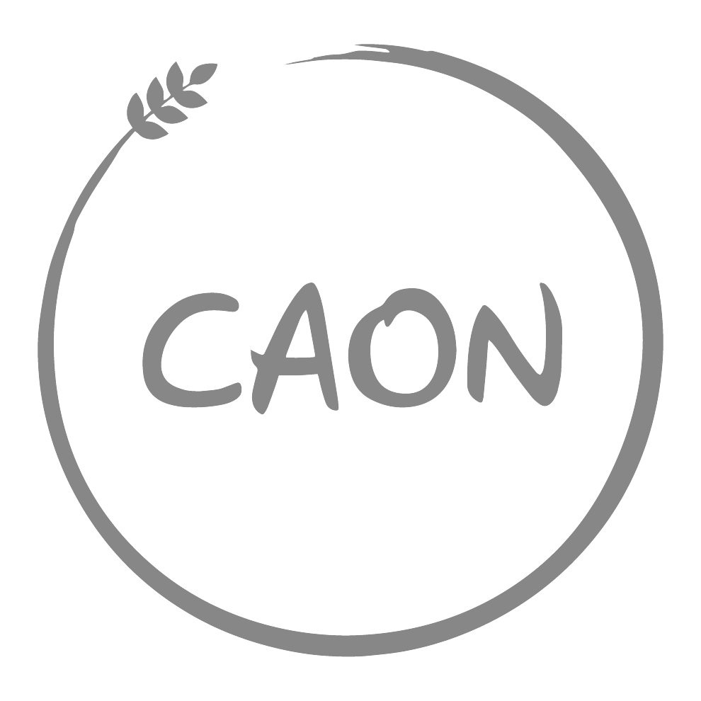 Grupo Caon Empleos